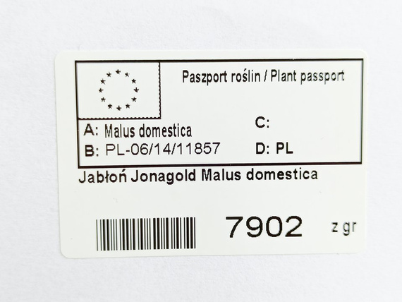 Jabłoń Jonagold Malus domestica