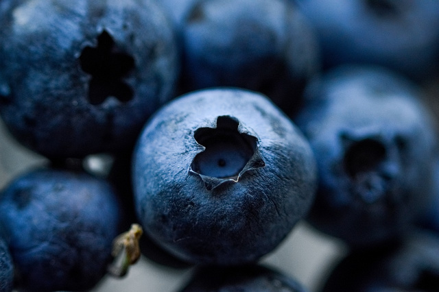 Borówka amerykańska Spartan Vaccinium corymbosum C2