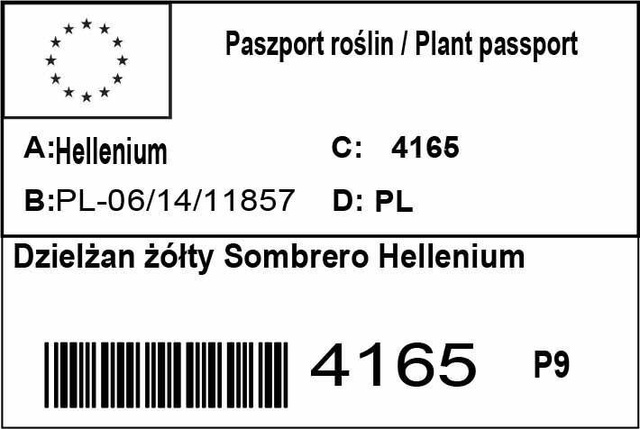 Dzielżan żółty Sombrero Hellenium P9
