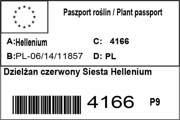 Dzielżan czerwony Siesta Hellenium P9