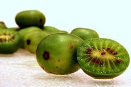 Aktinidia Mini kiwi Issai Actinidia arguta P9