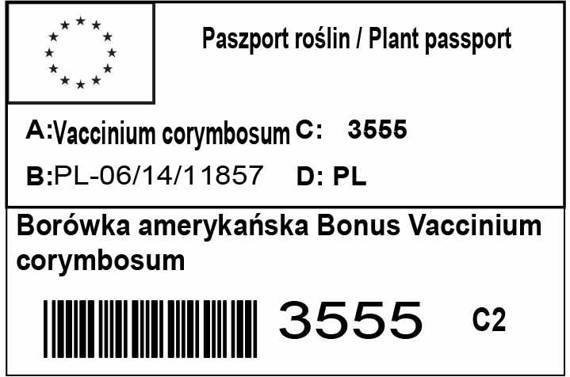 Borówka amerykańska Bonus Vaccinium corymbosum