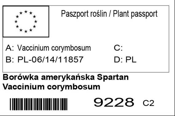 Borówka amerykańska Spartan Vaccinium corymbosum