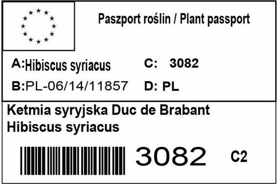 Ketmia syryjska Duc de Brabant Hibiscus syriacus