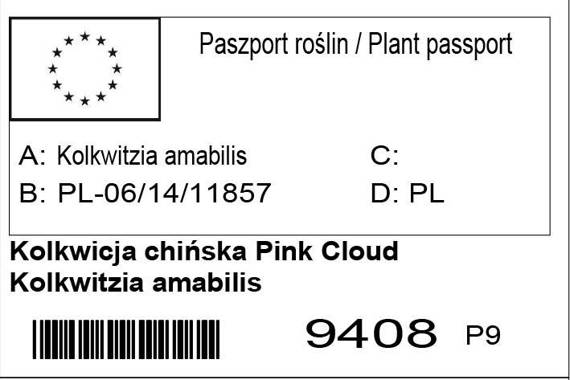 Kolkwicja chińska Pink Cloud Kolkwitzia amabilis