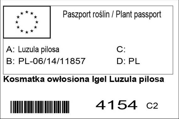 Kosmatka owłosiona Igel Luzula pilosa