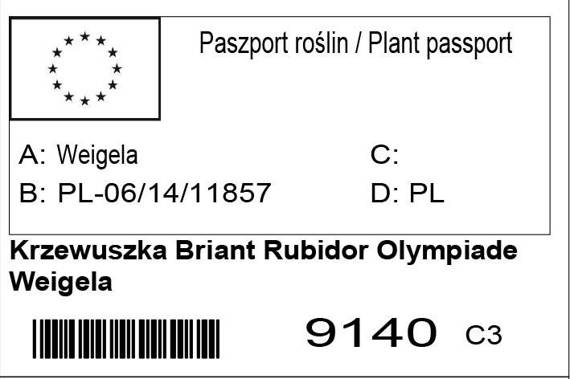 Krzewuszka Briant Rubidor 'Olympiade' Weigela