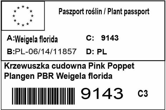 Krzewuszka cudowna Pink Poppet Plangen PBR Weigela florida