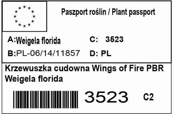 Krzewuszka cudowna Wings of Fire PBR Weigela florida