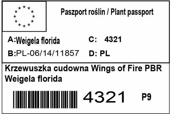 Krzewuszka cudowna Wings of Fire PBR Weigela florida