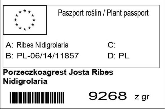 Porzeczkoagrest Josta Ribes Nidigrolaria 