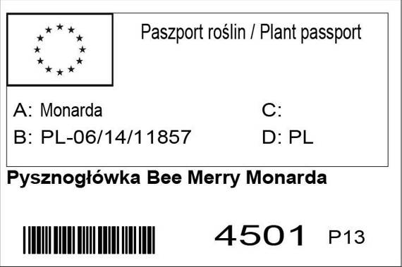Pysznogłówka Bee Merry Monarda