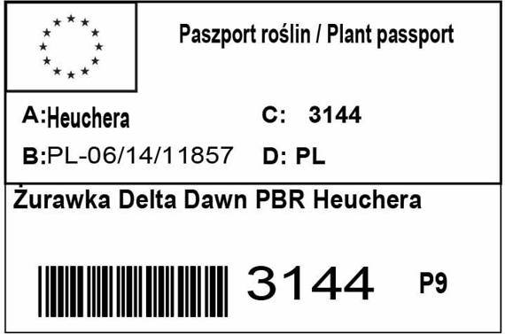 Żurawka Delta Dawn PBR Heuchera