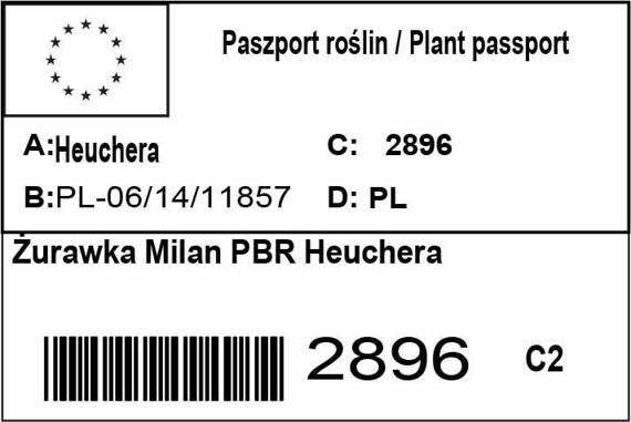 Żurawka Milan PBR Heuchera