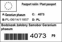 Bodziszek żałobny Samobor Geranium phaeum