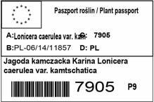 Jagoda kamczacka Karina Lonicera caerulea var. kamtschatica