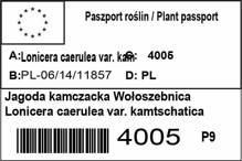 Jagoda kamczacka Wołoszebnica Lonicera caerulea var. kamtschatica