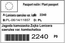 Jagoda kamczacka Zojka Lonicera caerulea var. kamtschatica