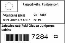 Jałowiec sabiński Glauca Juniperus sabina