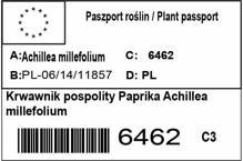 Krwawnik pospolity Paprika Achillea Millefolium