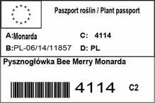 Pysznogłówka Bee Merry Monarda