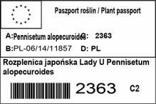 Rozplenica japońska Lady U Pennisetum alopecuroides