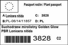 Suchodrzew mirolistny Golden Glow PBR Lonicera nitida