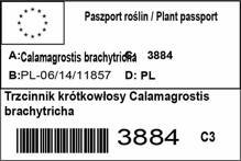 Trzcinnik krótkowłosy Calamagrostis brachytricha